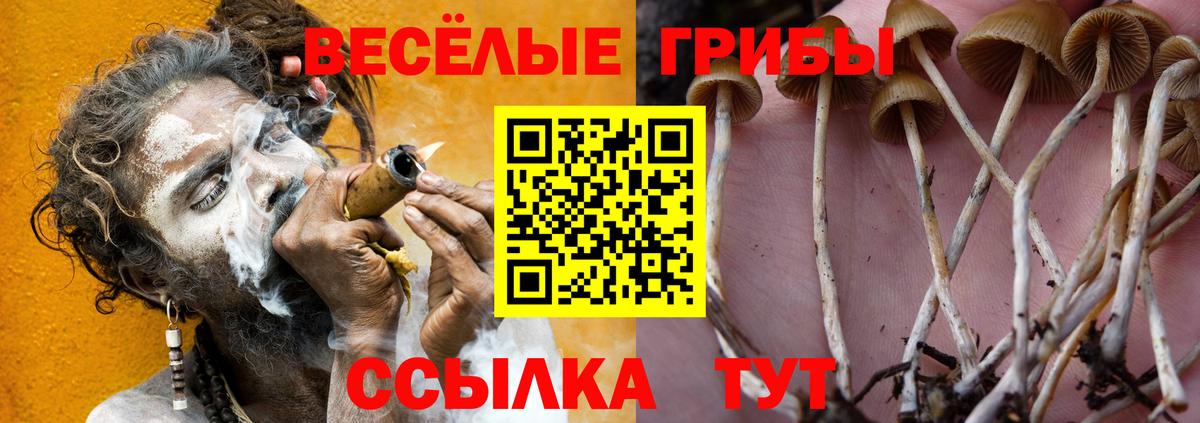 Псилоцибиновые грибы мухоморы Славгород