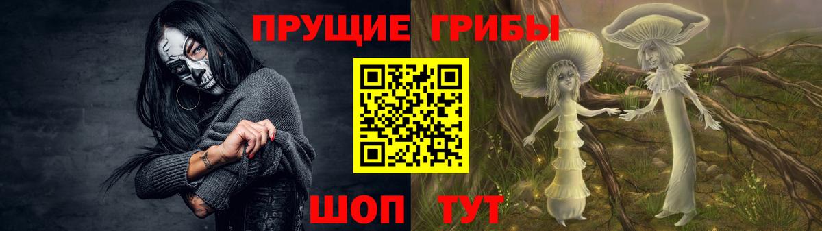 Галлюциногенные грибы прущие грибы  Вход с VPN  Галлюциногенные грибы Magic Shrooms  Славгород 